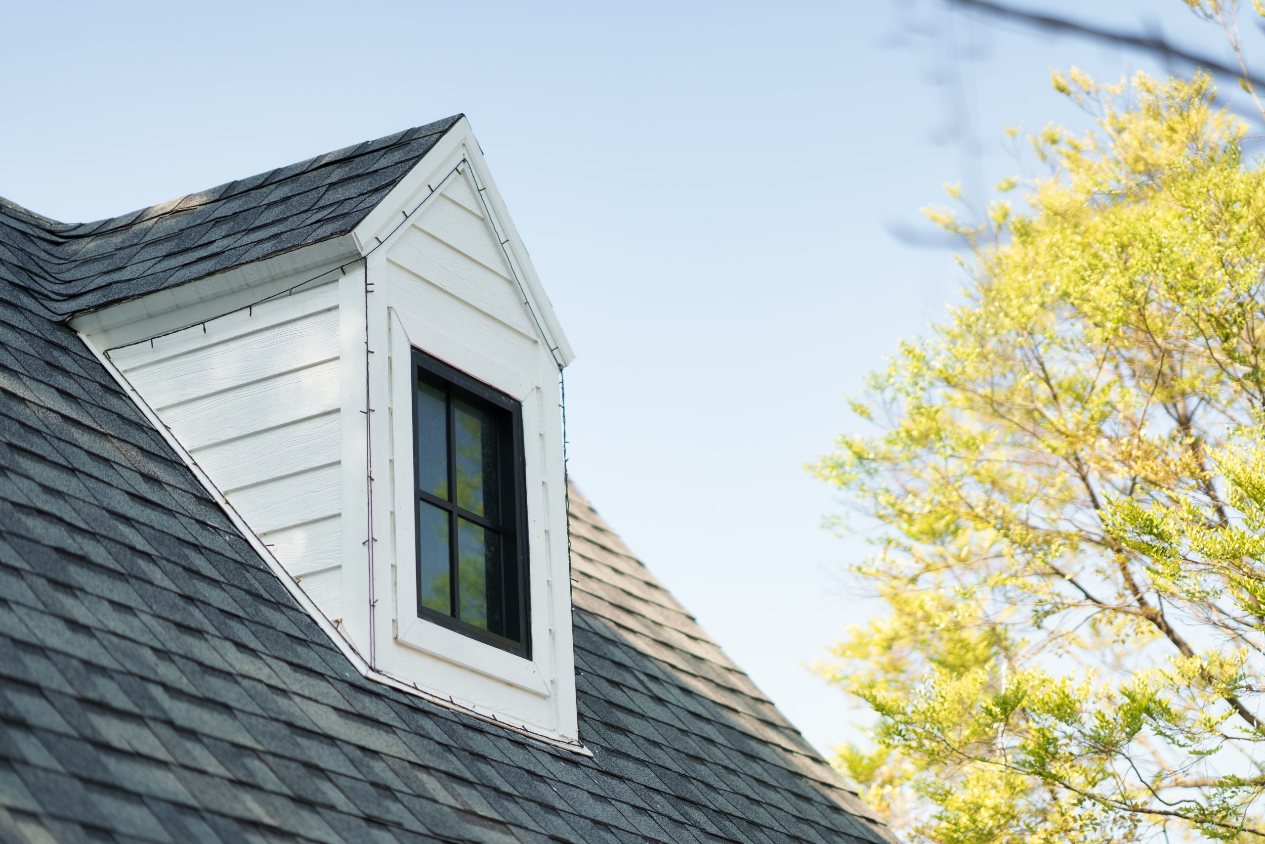 Homey small dormer window on grey shingle gable roof of wooden white house and tree in blue sky in suburban
